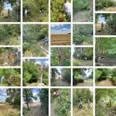 Le chemin de la chapelle métamorphosé par le chantier de débroussaillage (montage photo)