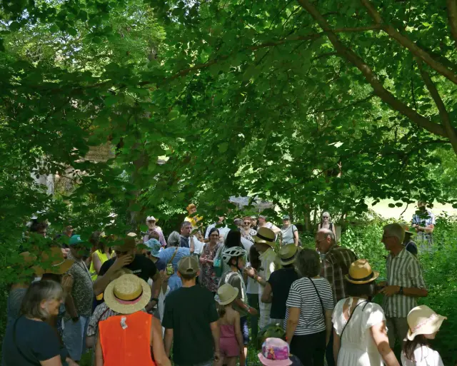 Visiteurs rassemblés sous les arbres