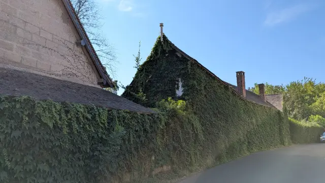 Mur couvert de lierre et pignon d'une longère, au bord de la route