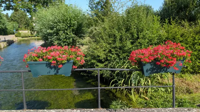 Jardinières de géraniums sur le pont, au-dessus de la rivière