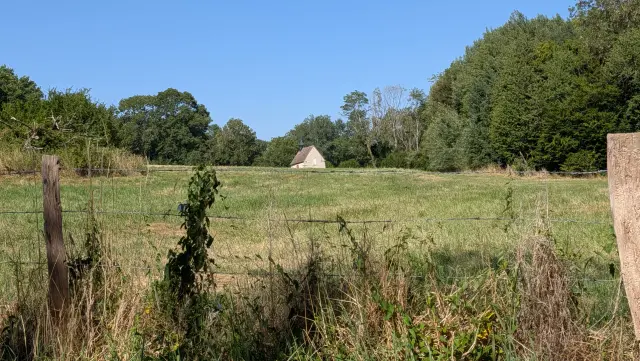 Prairie clôturée en bordure de bois