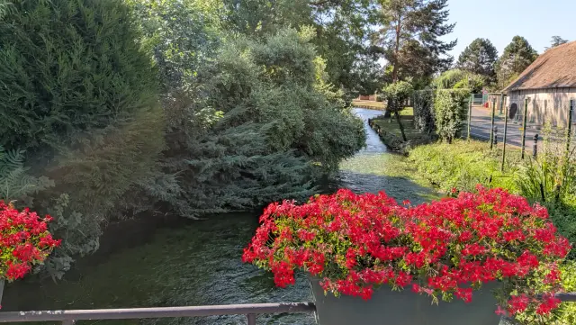 La rivière bordée de conifères, vue depuis le pont fleuri